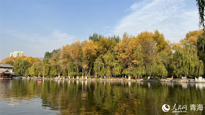 人民公園。人民網 況玉攝