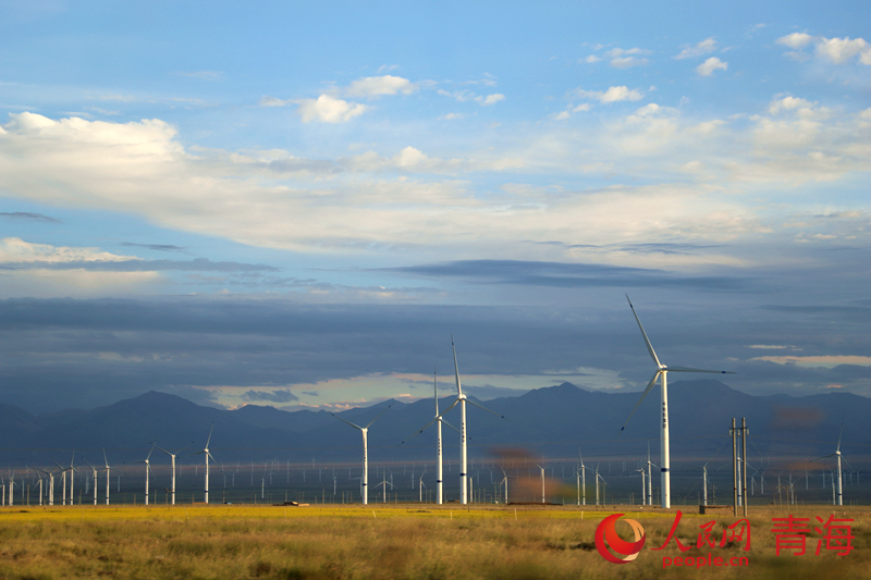 青海省海南藏族自治州境內(nèi)，成百上千的大型風力發(fā)電機隨風旋轉(zhuǎn)，生產(chǎn)綠電。 人民網(wǎng)記者 楊啟紅攝