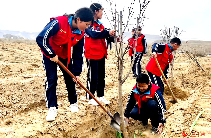 植樹活動現(xiàn)場。人民網(wǎng) 顧斐菲攝