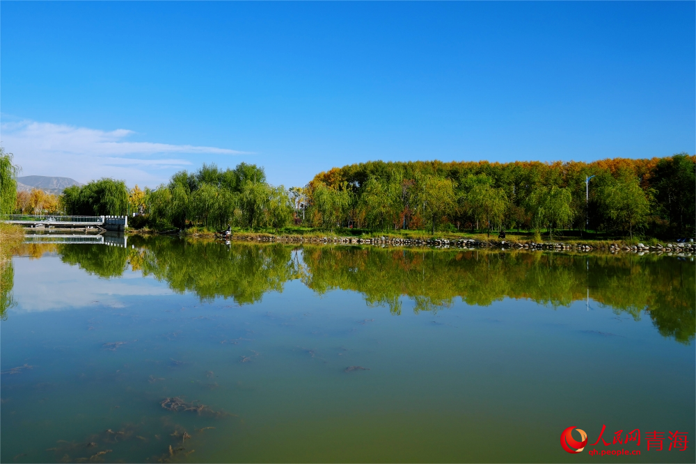 三河濕地公園秋韻濃。人民網(wǎng) 陳明菊攝