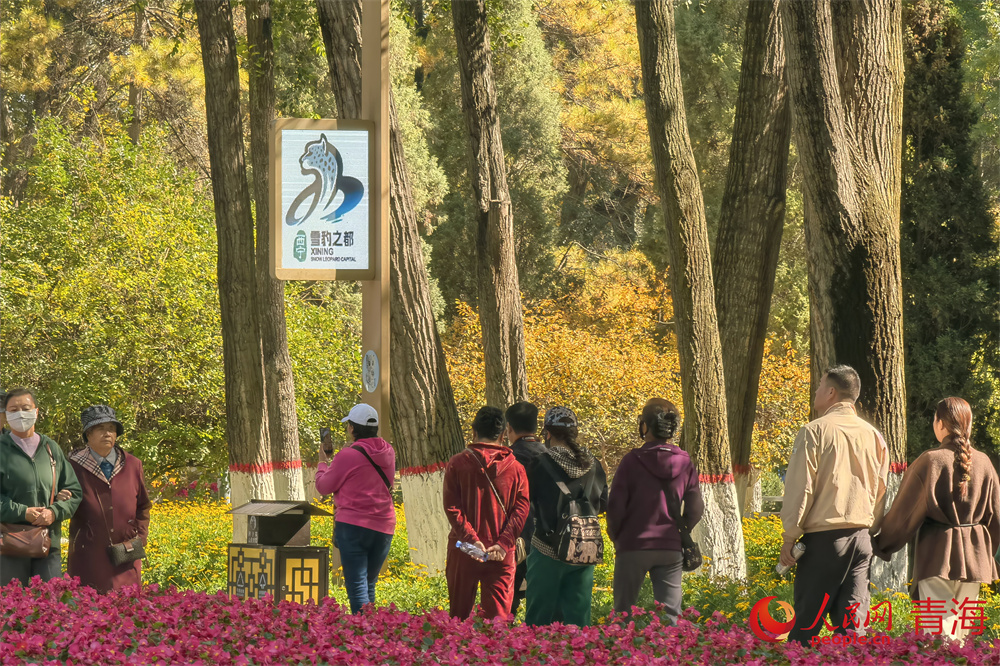 市民行走在公園如畫秋景中。人民網(wǎng) 馬可欣攝