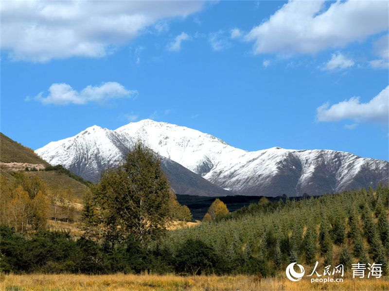 藍(lán)天白云，雪山重疊，大通縣東峽鎮(zhèn)秋景美如畫。人民網(wǎng) 馬可欣攝