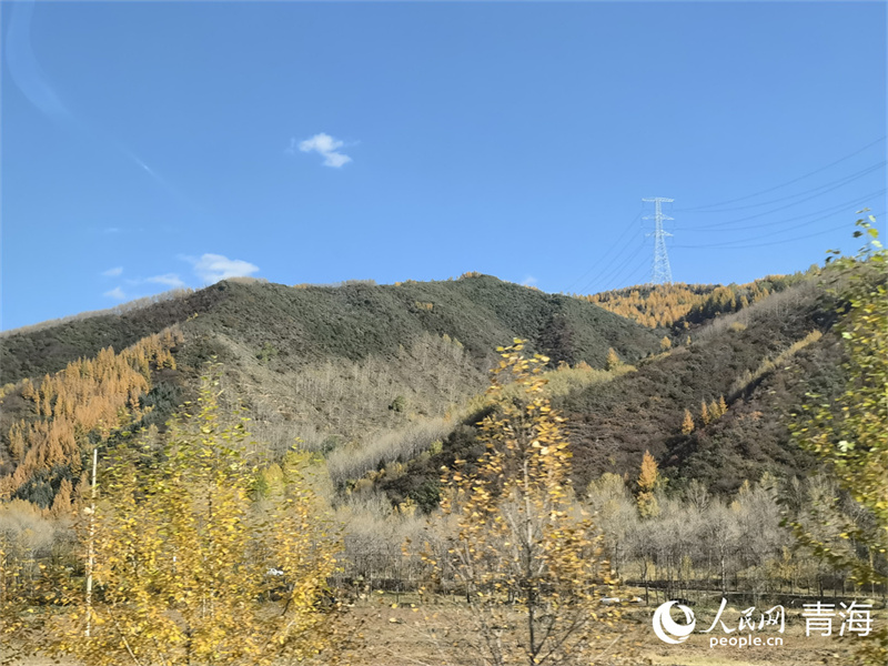 大通縣東峽鎮(zhèn)的絢爛秋景。人民網(wǎng) 馬可欣攝