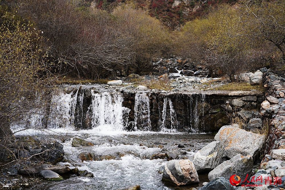 察汗河國家森林公園水流急湍。人民網(wǎng) 陳明菊攝