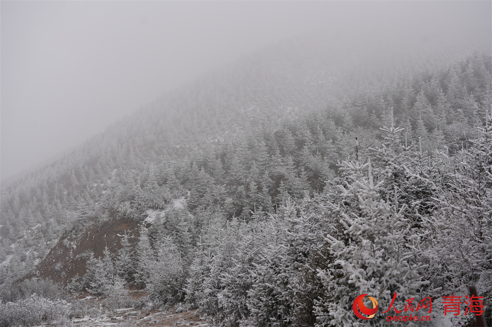 青沙山云霧繚繞，雪景如畫。人民網(wǎng) 馬可欣攝